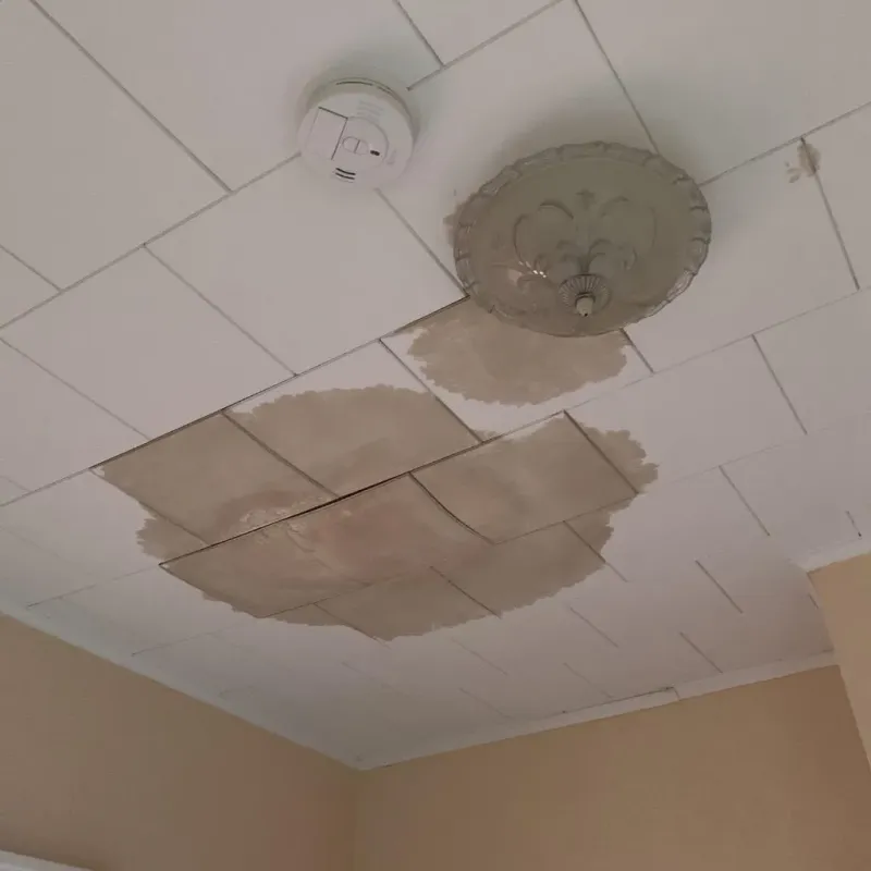 Ceiling Water Damage Repair in Somerville, TN