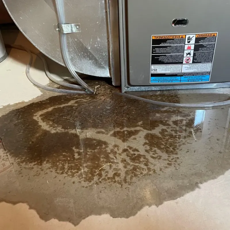Pipe Burst and Leak Restoration in Somerville, TN