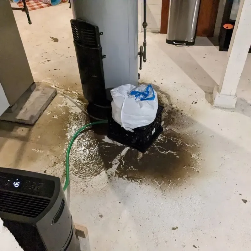 Sewage Backup Cleanup Service in Somerville, TN